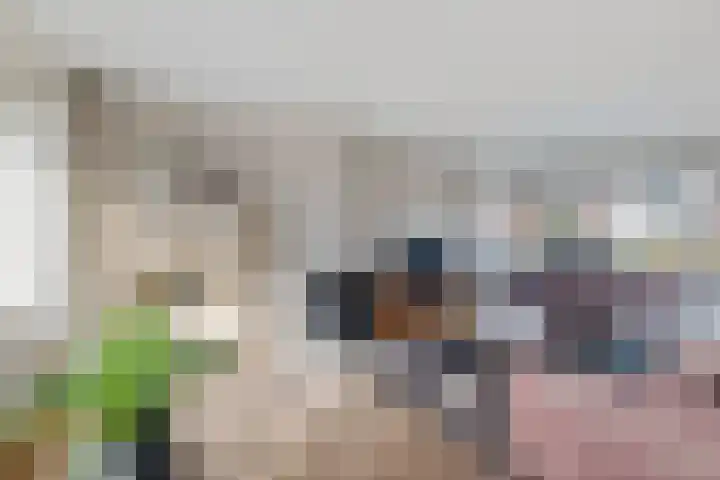 De Kampen 33 Schoonebeek thumbnail 5