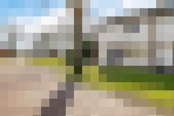 De Kampen 33 Schoonebeek thumbnail 9