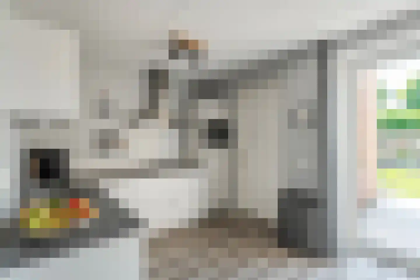 De Kampen 35 Dwingeloo thumbnail 12