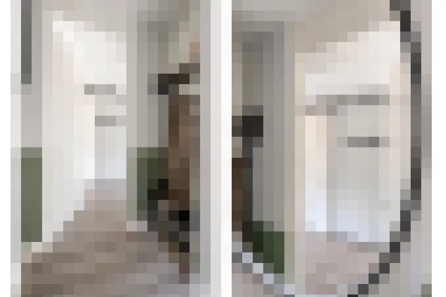 De Kampen 35 Dwingeloo thumbnail 18