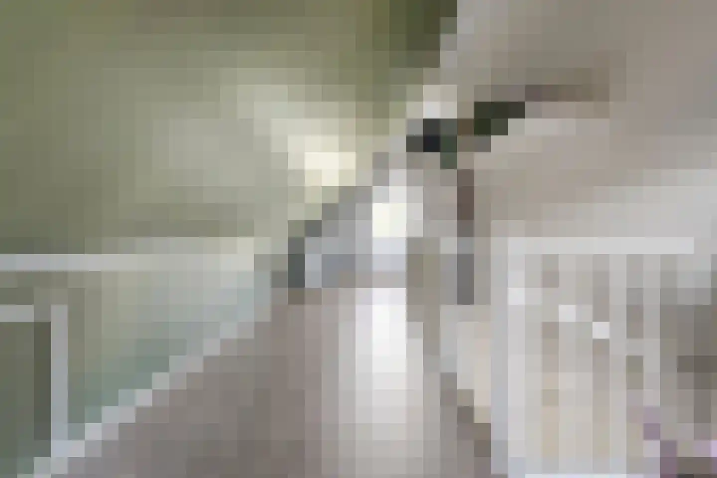De Kampen 35 Dwingeloo thumbnail 31