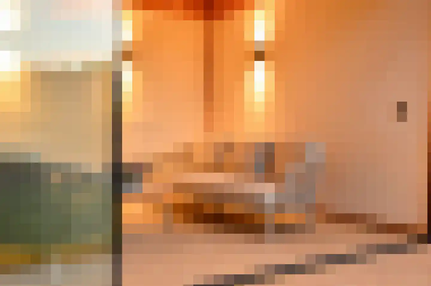 De Kampen 35 Dwingeloo thumbnail 43