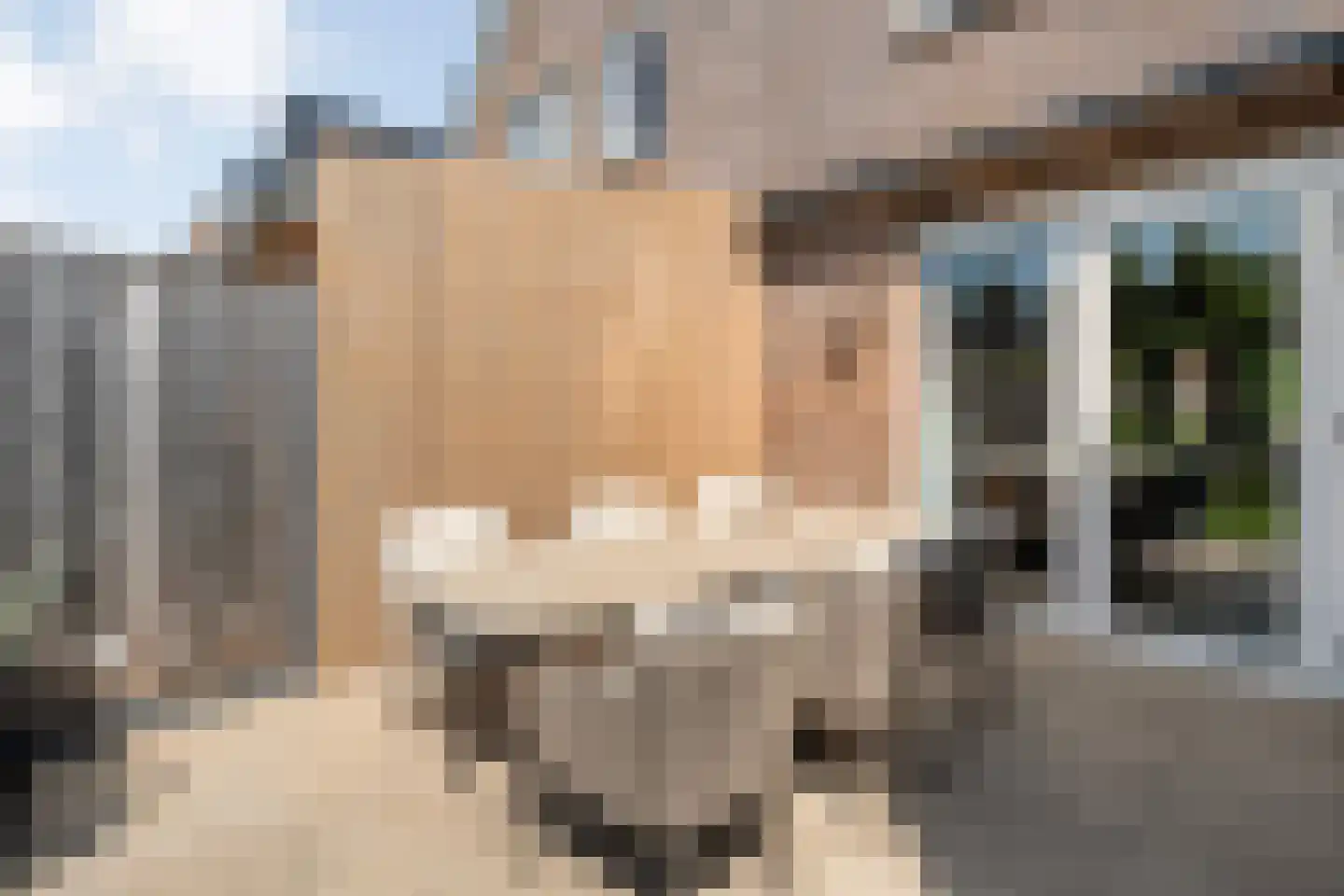 De Kampen 35 Dwingeloo thumbnail 50