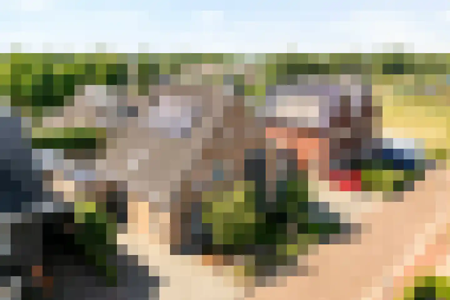 De Kampen 35 Dwingeloo thumbnail 58