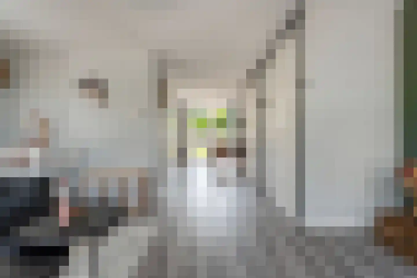 De Kampen 35 Dwingeloo thumbnail 6