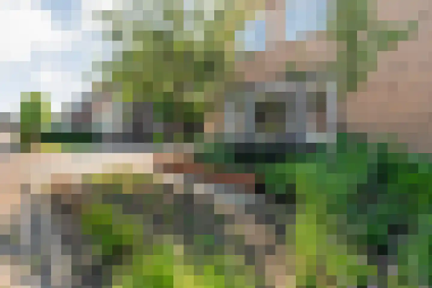 De Kampen 35 Dwingeloo thumbnail 62
