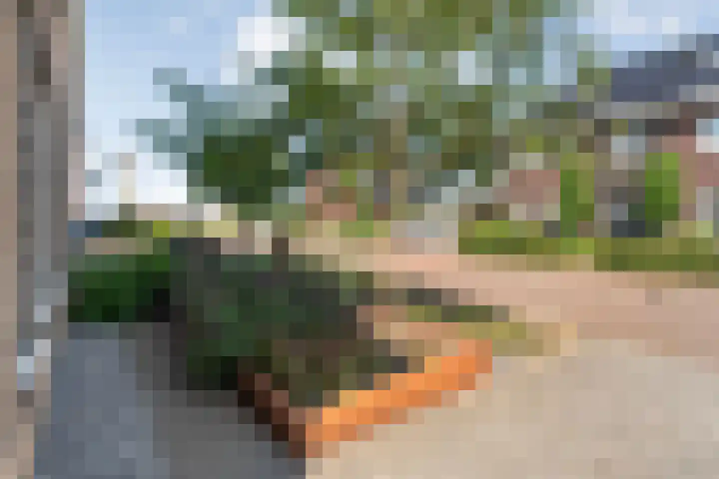 De Kampen 35 Dwingeloo thumbnail 63