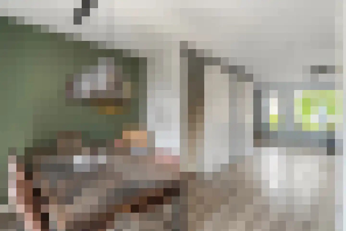 De Kampen 35 Dwingeloo thumbnail 8