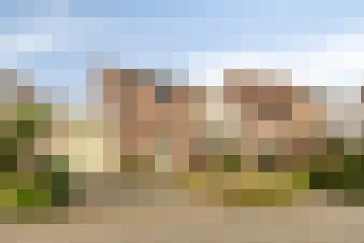 de Kampen 75 in Meppel