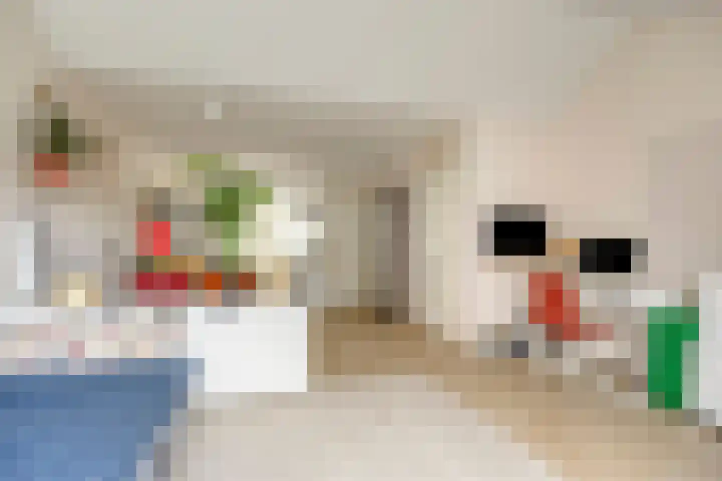 De Kampen 75 Meppel thumbnail 11