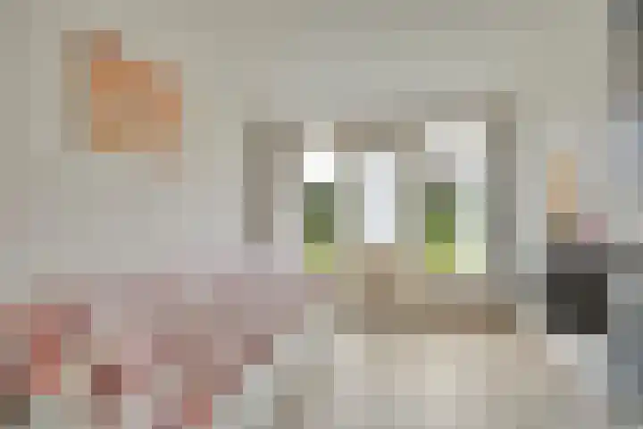 de Kampen 75 Meppel thumbnail 25