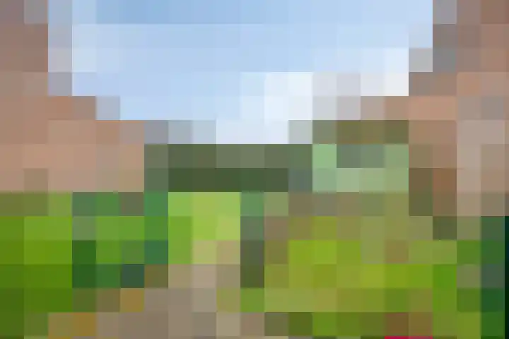 de Kampen 75 Meppel thumbnail 33