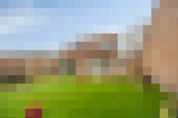 de Kampen 75 Meppel thumbnail 35
