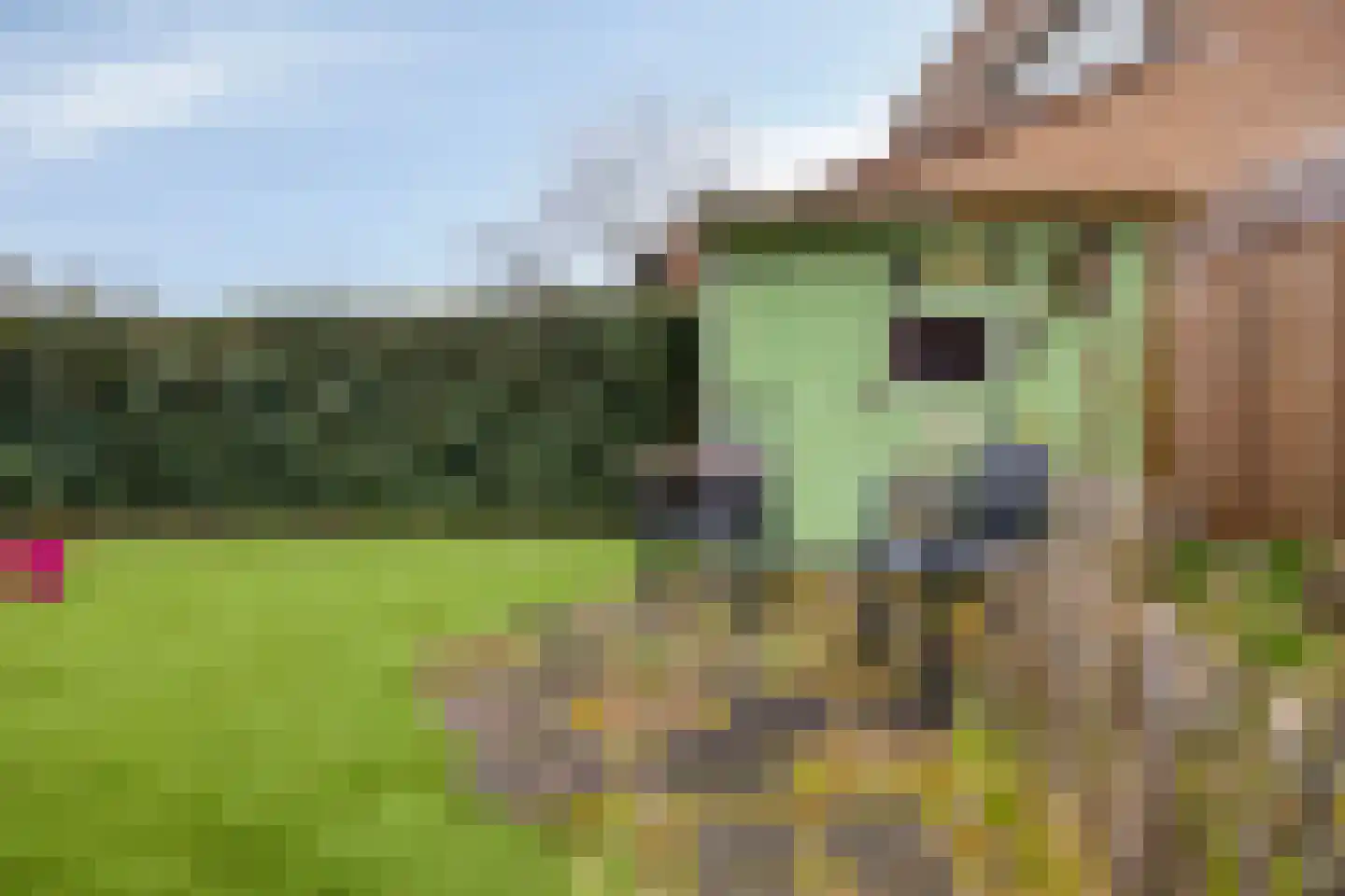 De Kampen 75 Meppel thumbnail 36