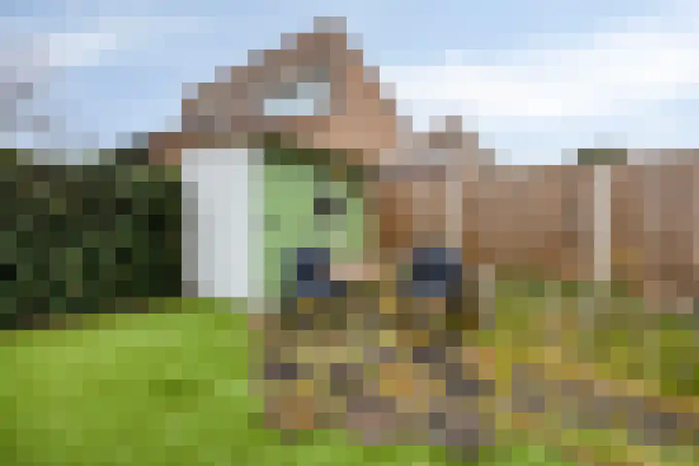 De Kampen 75 Meppel thumbnail 38