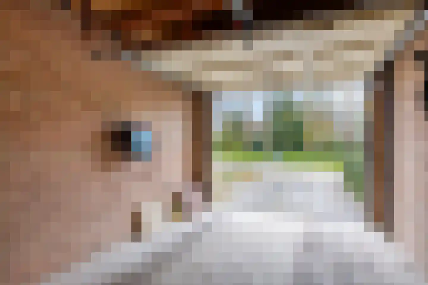 De Kampen 75 Meppel thumbnail 39