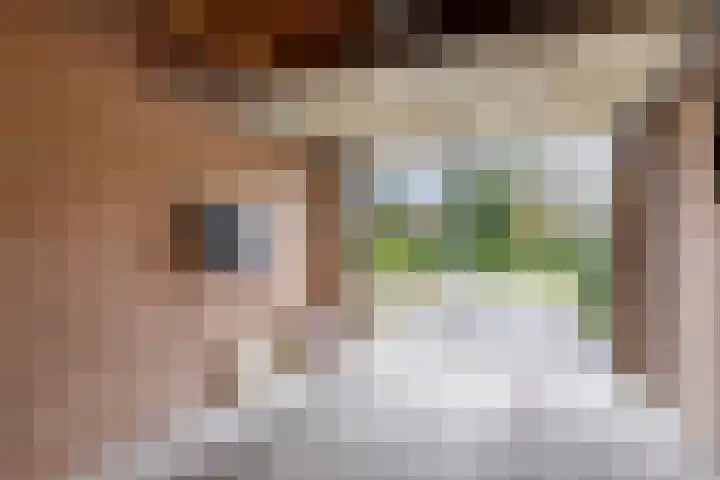 de Kampen 75 Meppel thumbnail 39