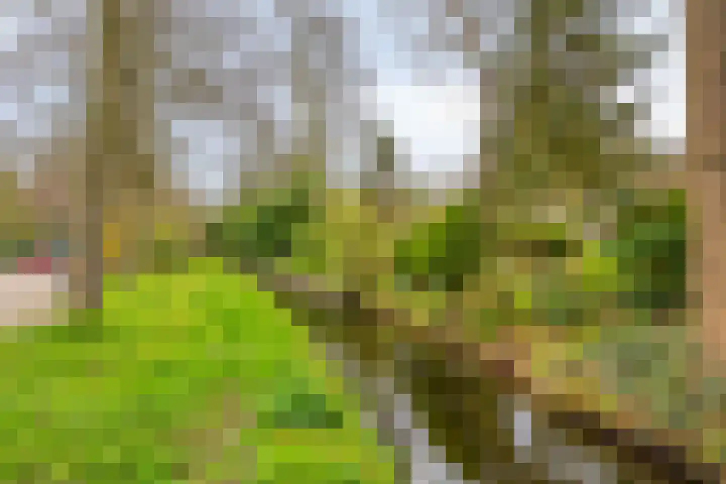 De Kampen 75 Meppel thumbnail 40