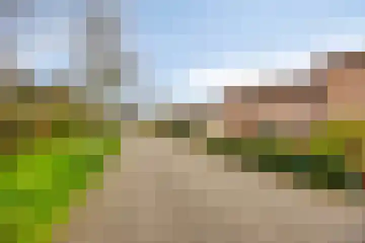 de Kampen 75 Meppel thumbnail 41