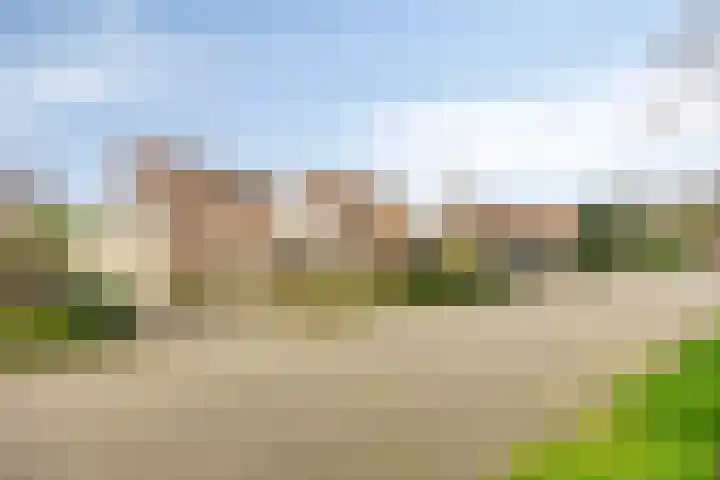 de Kampen 75 Meppel thumbnail 43