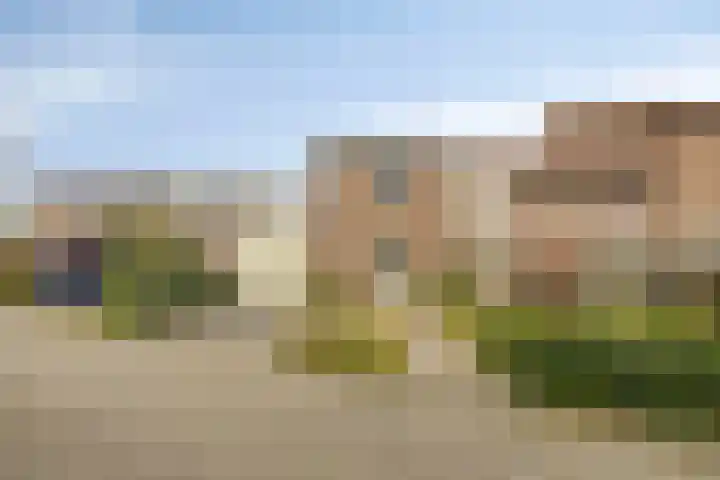 de Kampen 75 Meppel thumbnail 44