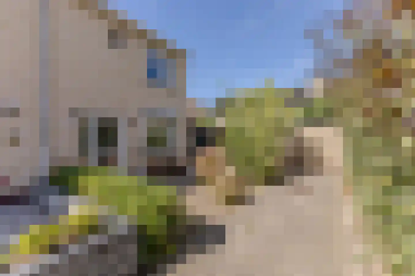 De Kandelaar 110 Heiloo thumbnail 27