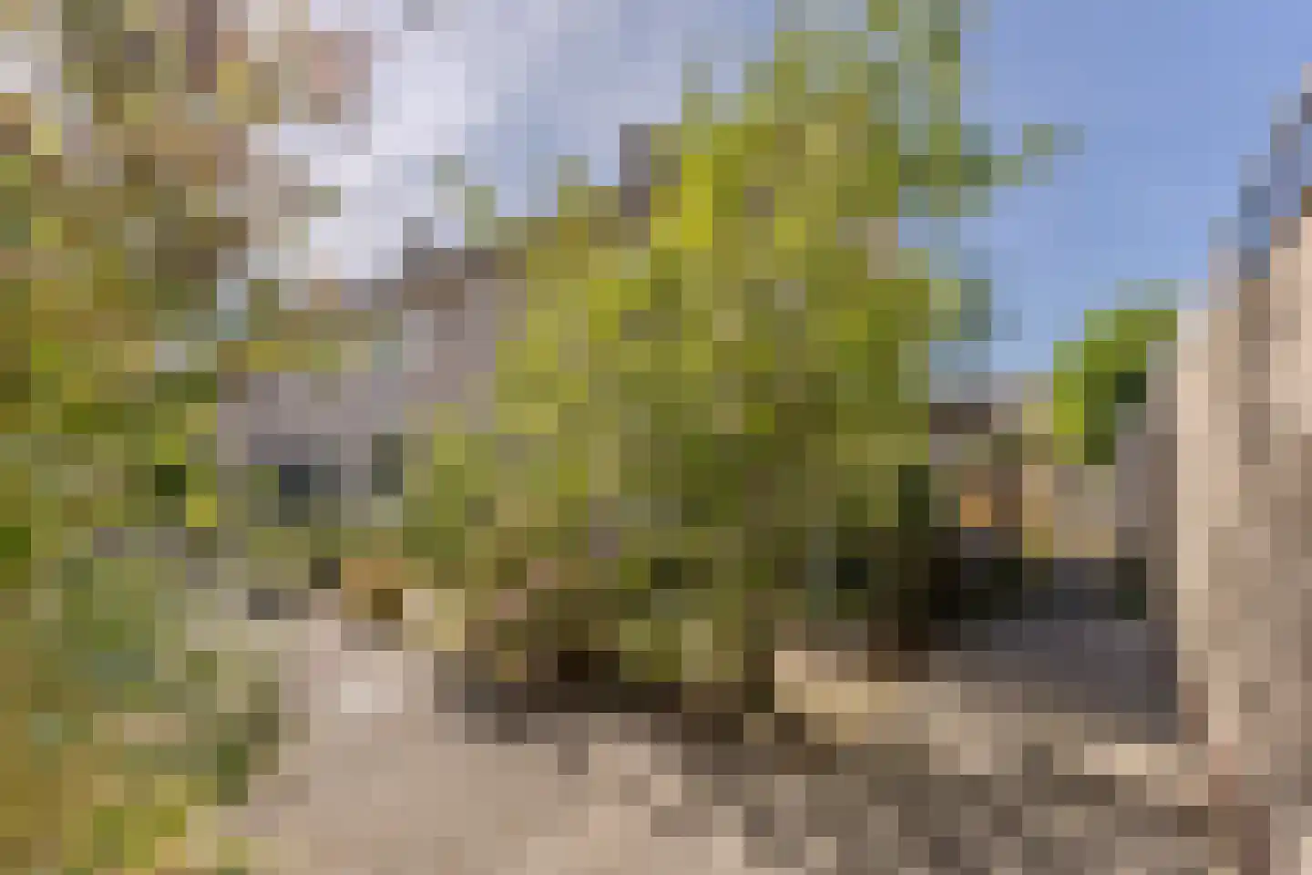 De Kandelaar 110 Heiloo thumbnail 28