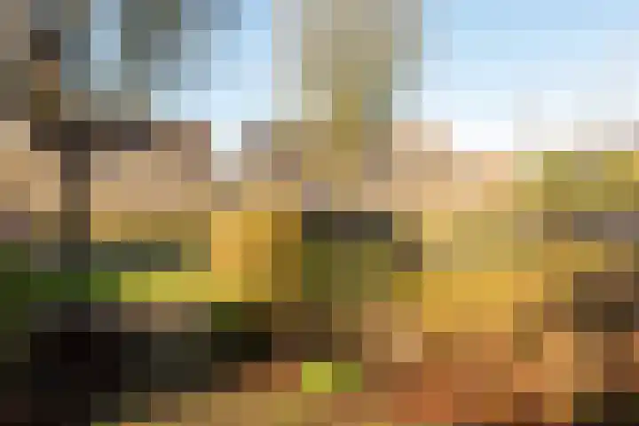 De Kandelaar 53 Heiloo thumbnail 34