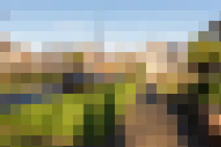 De Kandelaar 53 Heiloo thumbnail 35