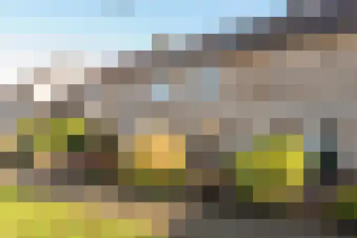 De Kandelaar 53 Heiloo thumbnail 37