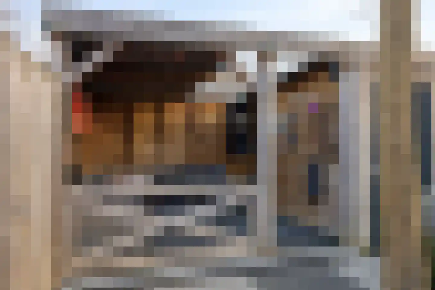 de Kantelen 41 Zaltbommel thumbnail 34