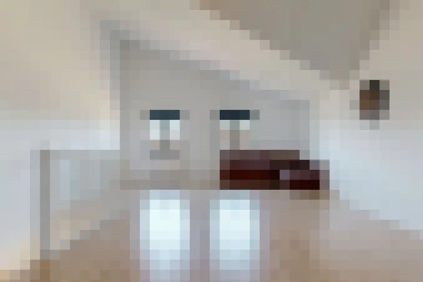 De Kantelen 7 Meteren thumbnail 24