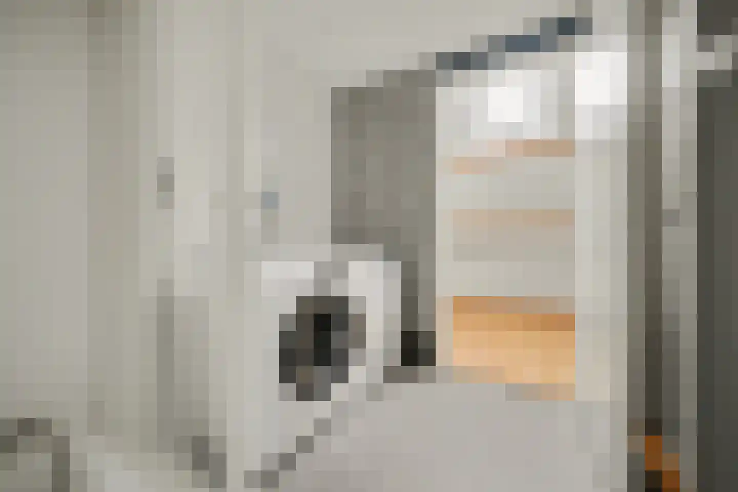 de Kanterlaan 8 Zierikzee thumbnail 18