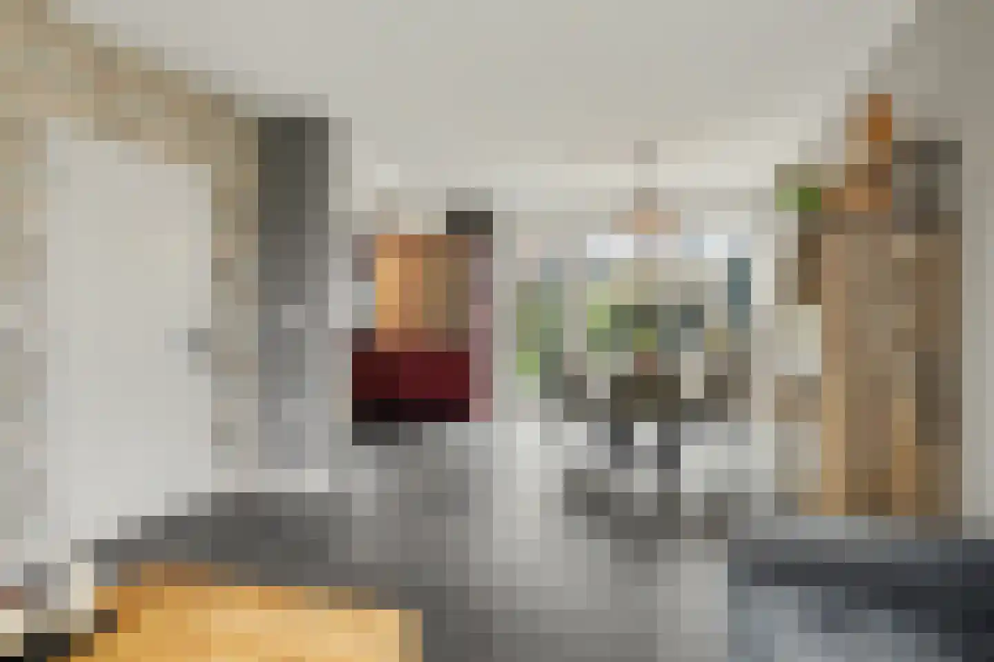 de Kanterlaan 8 Zierikzee thumbnail 6