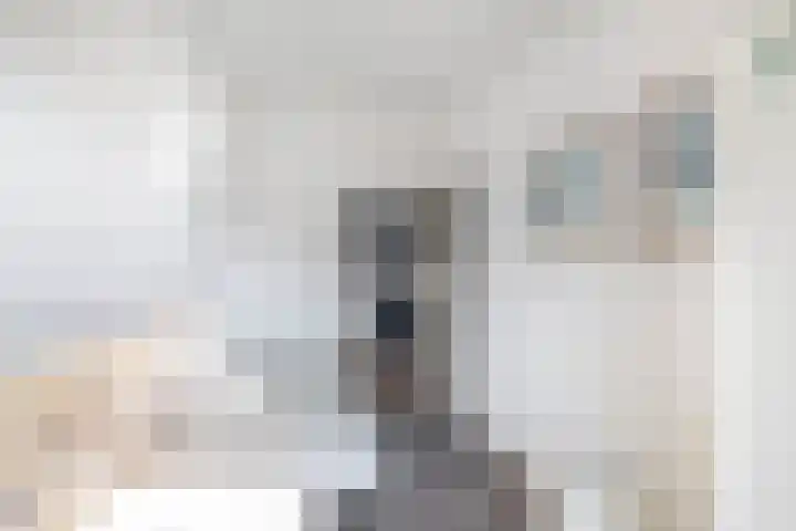 de Kanterstraat 11 Brielle thumbnail 31