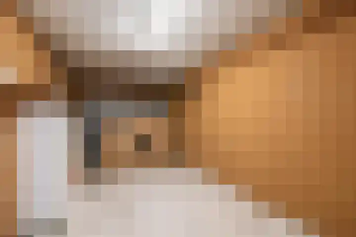 de Kanterstraat 11 Brielle thumbnail 44