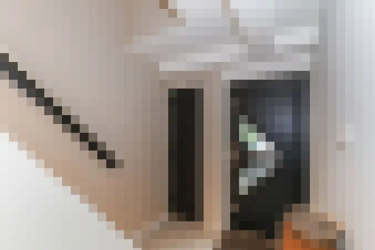 de Kanterstraat 9 Brielle thumbnail 13