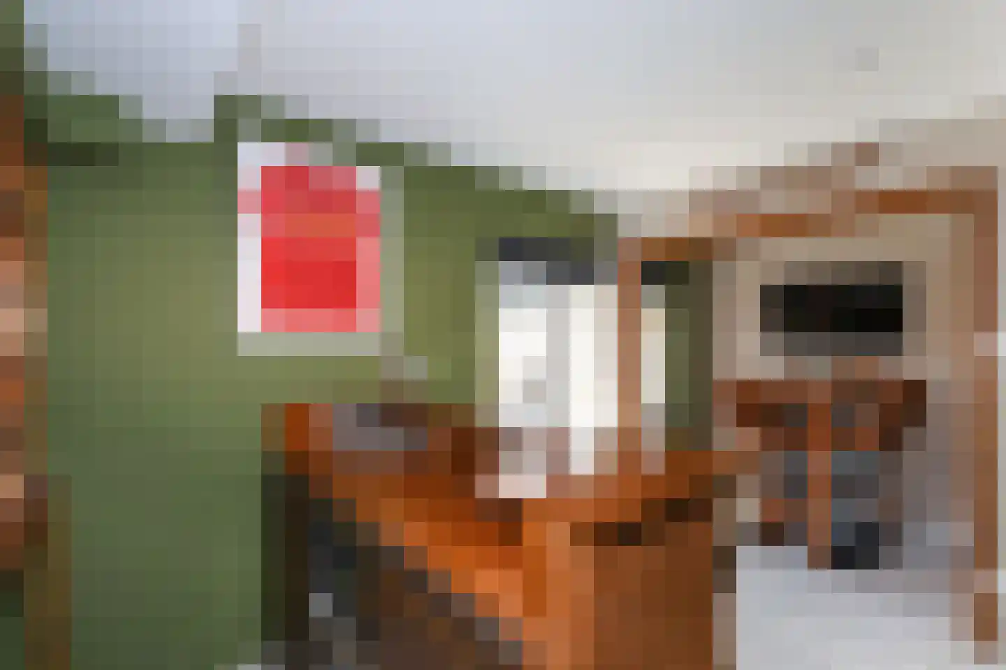 de Kanterstraat 9 Brielle thumbnail 16