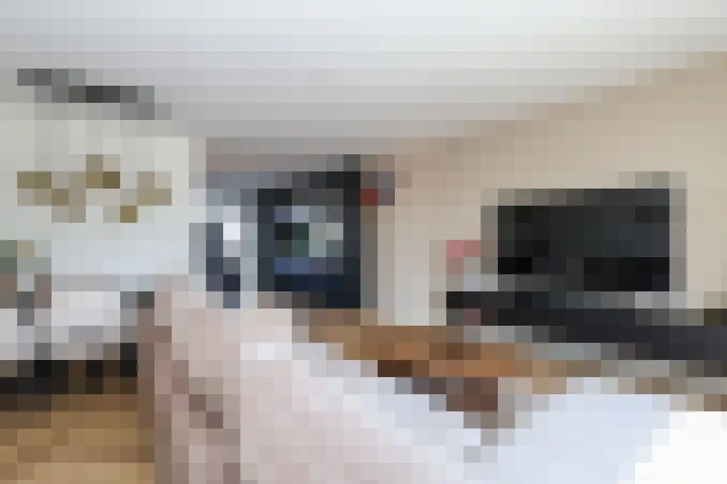 de Kanterstraat 9 Brielle thumbnail 27