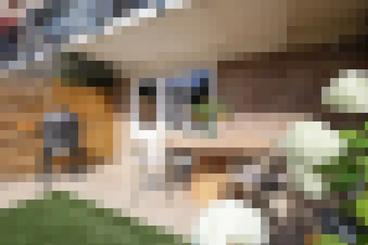 de Kanterstraat 9 Brielle thumbnail 46