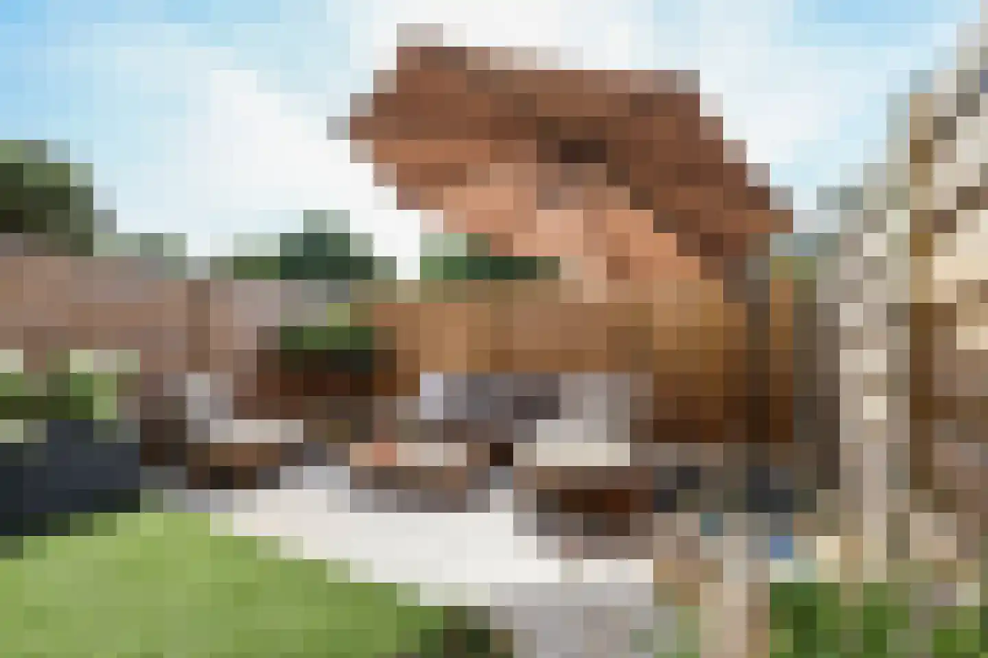 de Kanterstraat 9 Brielle thumbnail 54