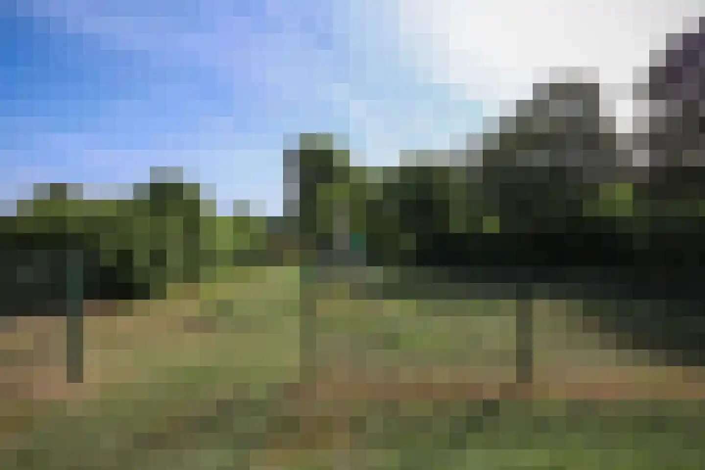 de Kanterstraat 9 Brielle thumbnail 59