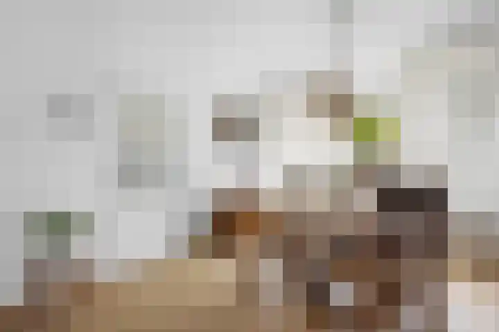 De Kap 127 Klazienaveen thumbnail 12