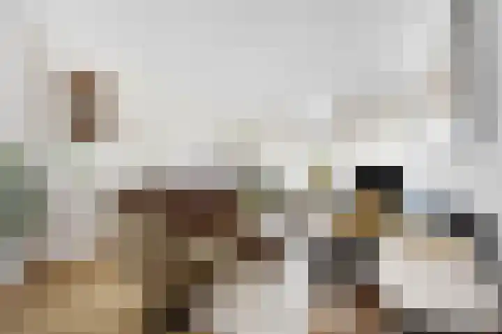 De Kap 127 Klazienaveen thumbnail 14