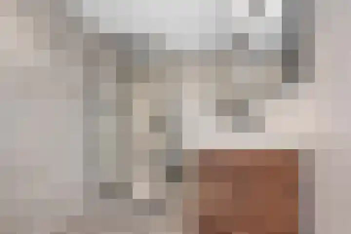 De Kap 127 Klazienaveen thumbnail 24