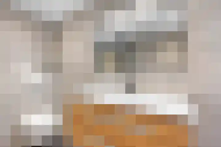 De Kap 127 Klazienaveen thumbnail 25