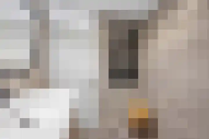 De Kap 127 Klazienaveen thumbnail 26