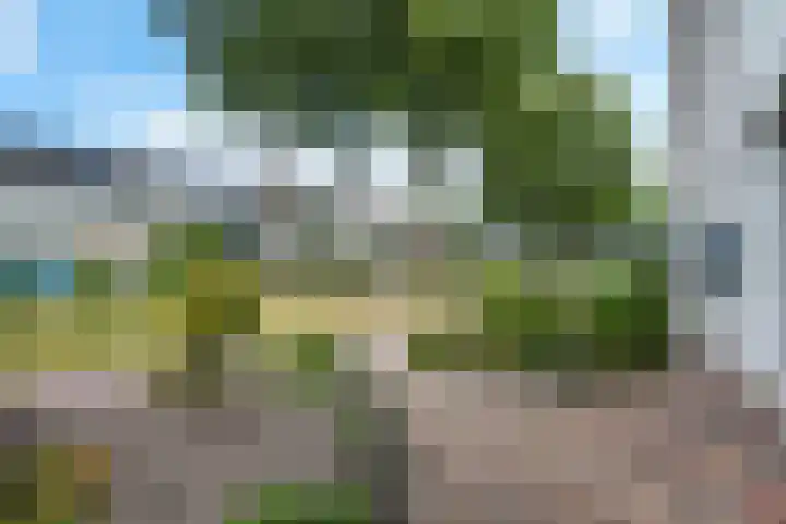 De Kap 127 Klazienaveen thumbnail 32