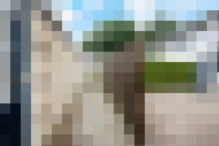 De Kap 127 Klazienaveen thumbnail 38