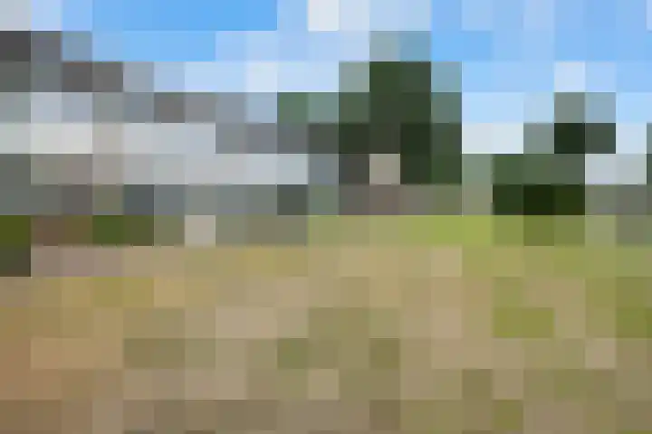 De Kap 127 Klazienaveen thumbnail 40